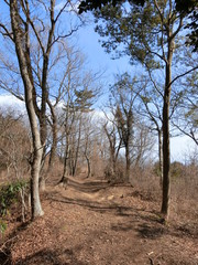 Fototapeta premium It's a hiking trail in Japan, Manazuru. Autumn.