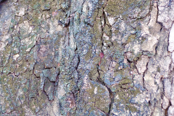 amazing vintage background wallpaper photos