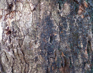 amazing vintage background wallpaper photos