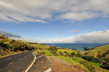 New Zealand road and beach scene