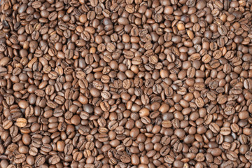  coffee beans