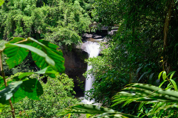 タイ・滝・自然・カオヤイ国立公園(ターンラタナー滝)