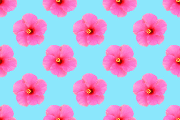 pink hibiscus flower on pastel color background,  seamless pattern