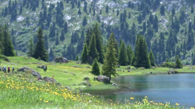 .A group of tourists on the banks of a beautiful Alpine lake.