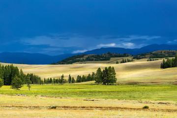 Fototapeta premium Kurai steppe and the North-Chuya mountain range. Mountain Altai
