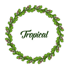 Template tropical, isolated on white backdrop, ornate of leaf wreath frame. Vector