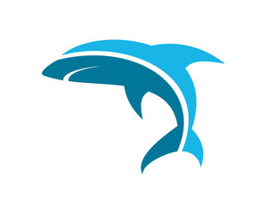 shark logo