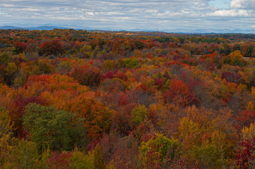 FALL COLORS OF NEW YORK