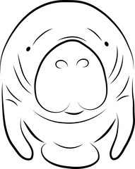 Fototapeta premium Manatee