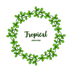 Tropical of green leaves frames, isolated on white background. Vector