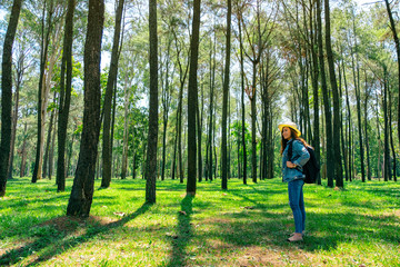 An asian female traveler with a hat and backpack looking into a beautiful pine woods
