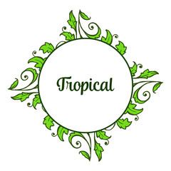 Card decor of summer tropical with various art of green leaves frame. Vector