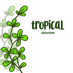 Lettering tropical for various abstract green leaves frame. Vector