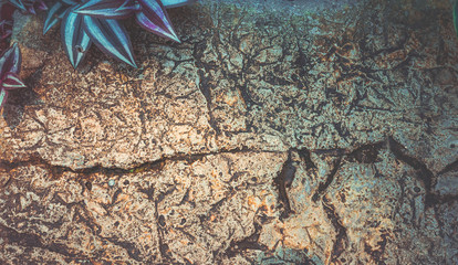 stone wall with green  plant on the top