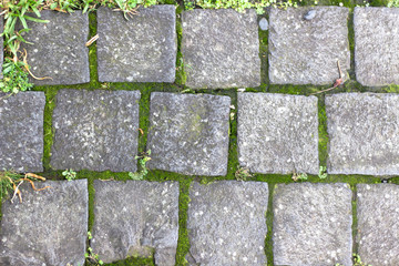 Bricks floor texture.