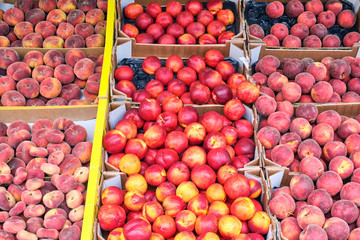 Peaches and nectarines for sale at a market