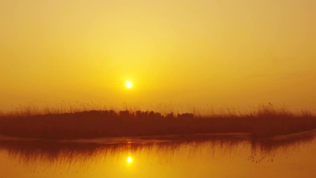 Lake and reeds at sunset