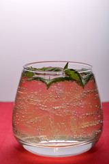 Refreshing drink with gas bubbles. Nalit in a transparent glass. It laid crushed ice. Decorated with mint leaves.