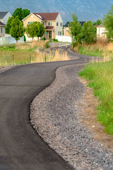 Road winding amid grassy terrain with homes trees and mountain in the distance