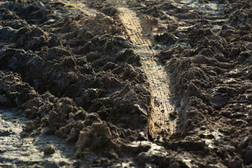 Tire trace over the dirt ground.