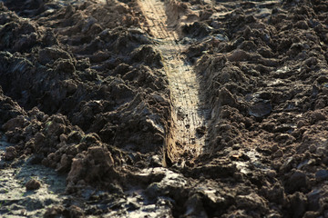 Tire trace over the dirt ground.
