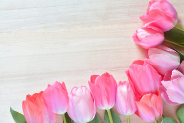 Tulip flowers on a wood background 