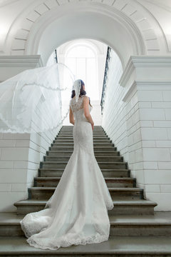 Chic white wedding dress silhouette with long beautiful train. Veil on the head of bride. The bride is posing cool in wedding dress.