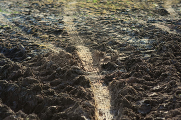 Tire trace over the dirt ground.