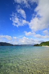 Fototapeta na wymiar Amami Island