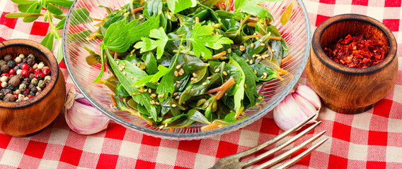 Salad with parsley and portulaca