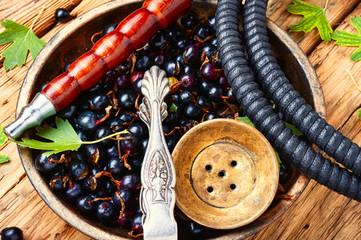 Arabia shisha with black currant