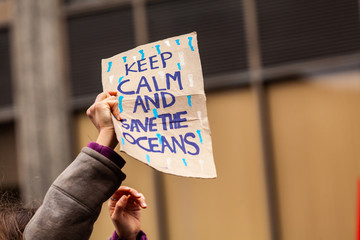 Ecological protest sea pollution poster. An ecological activist holds a homemade placard saying...