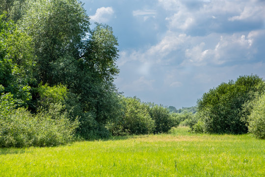 East European countryside with trees, grass and cloudy sky