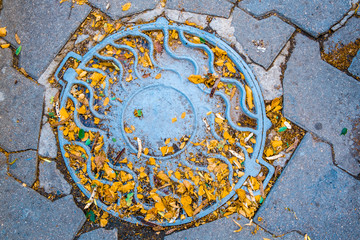 Looking down at manhole lid with yellow autumn leafs