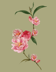 watercolor painting of leaves and flower, on white background