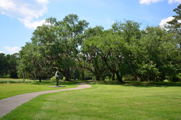 Obraz premium trees in a park