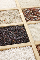 Various rice in box