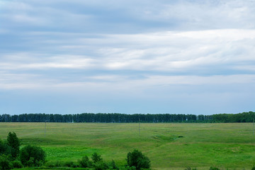 Fototapeta na wymiar Green background with a beautiful lawn and blue sky