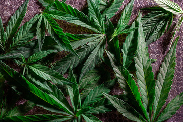 Cannabis Texture Marijuana Leaf Background