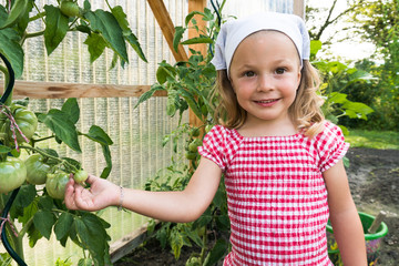 cute young girl shows off the organic tomatoes growing in her vegetable garden