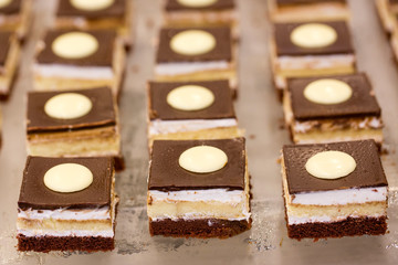 Delicious dessert on the buffet in the hotel