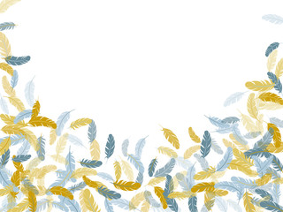 Detailed majestic feather on white design.