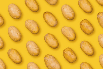 Potato on a colored background