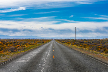 The road goes to the horizon against the background of a cloudy sky and bright shrubs.