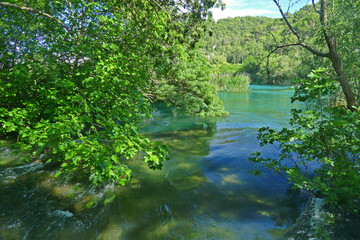 Wild Krka River with clear water in Krka National Park, Croatia