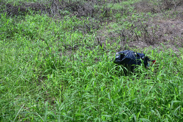 違法投棄のゴミ