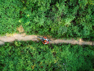 Cross country biking woman cyclist with mountain bike walking on tropical forest trail