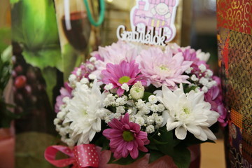 natura, flowers, red, rose, green, orchid