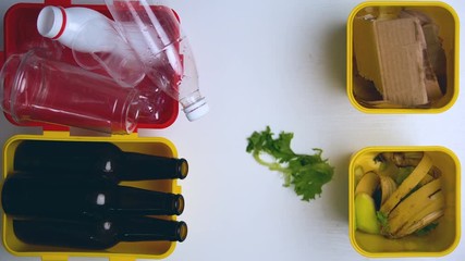 Process of garbage sorting in different bins, ecology and recycling, stop-motion