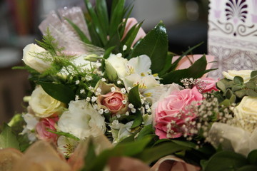 natura, flowers, red, rose, green, orchid